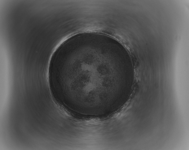 X0000111580196200907231242