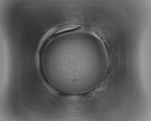 X0000111580197200907231242