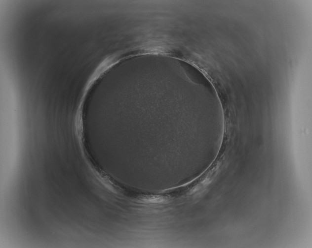 X0000111580198200907231242