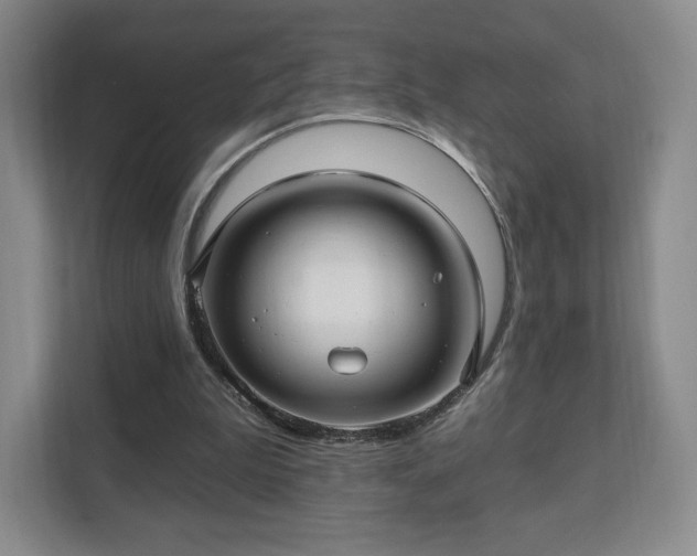 X0000111580199200907231242
