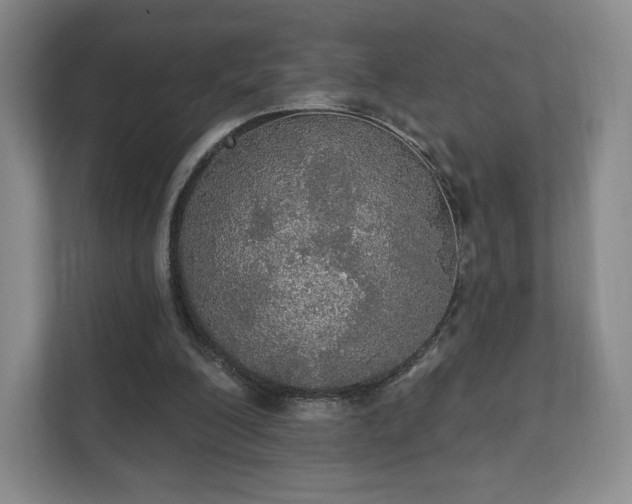 X0000111580200200907231242