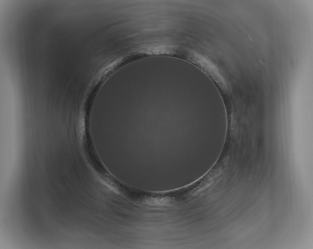 X0000111580202200907231242