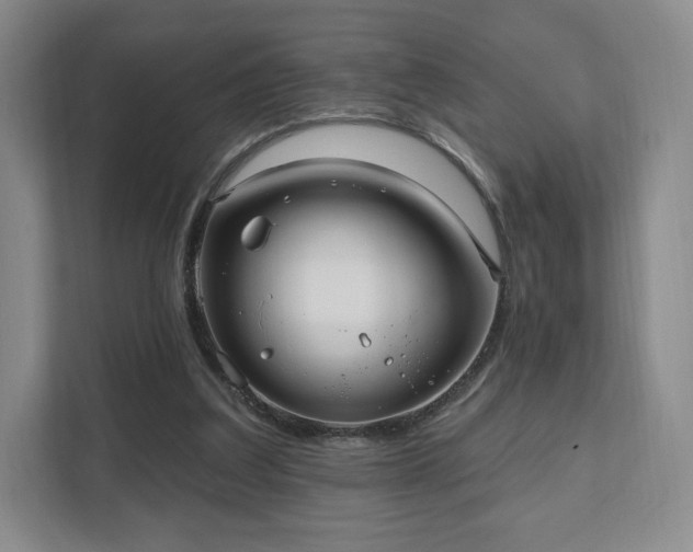 X0000111580203200907231242