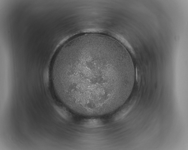 X0000111580204200907231242