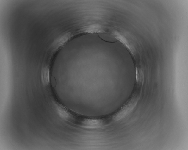 X0000111580205200907231242