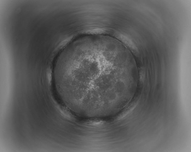 X0000111580206200907231242