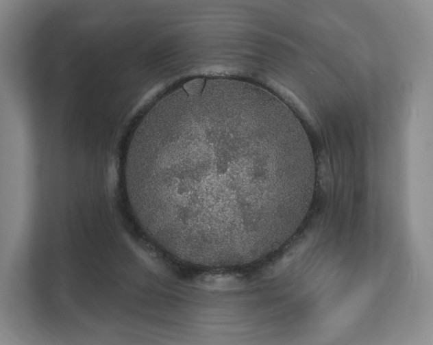 X0000111580208200907231242