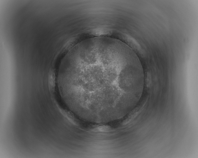 X0000111580210200907231242