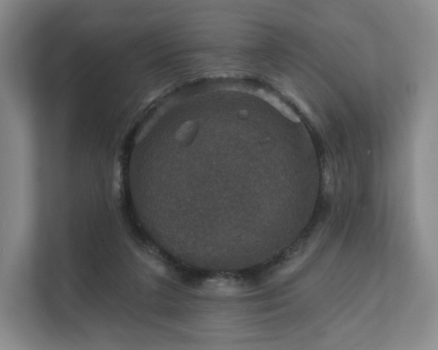 X0000111580211200907231242