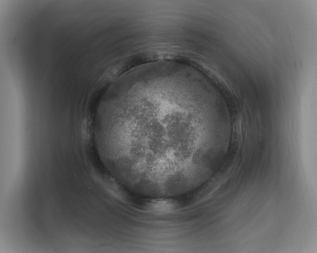 X0000111580218200907231242
