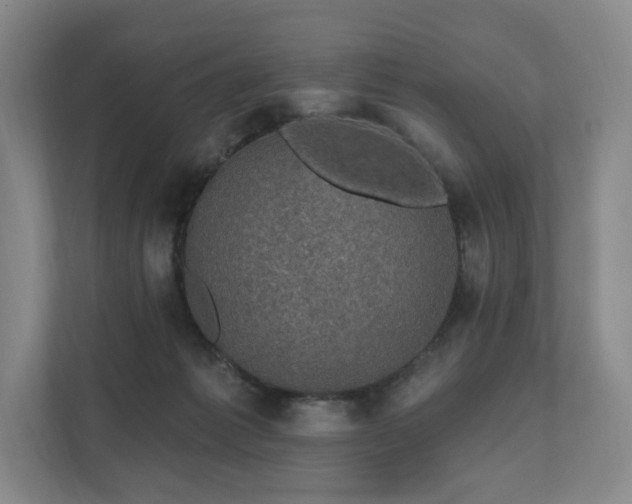 X0000111580221200907231242