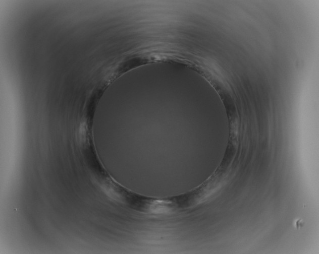 X0000111580222200907231242