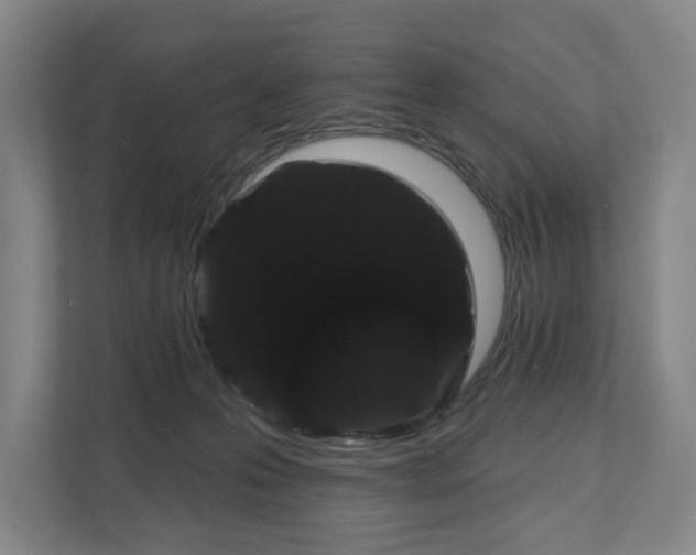 X0000111580223200907231242