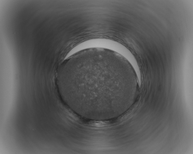 X0000111580229200907231242