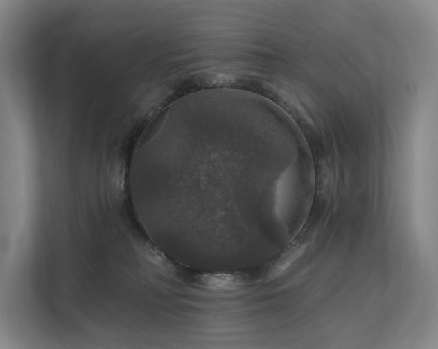 X0000111580230200907231242
