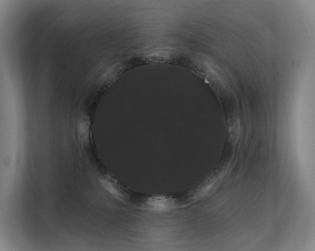 X0000111580231200907231242