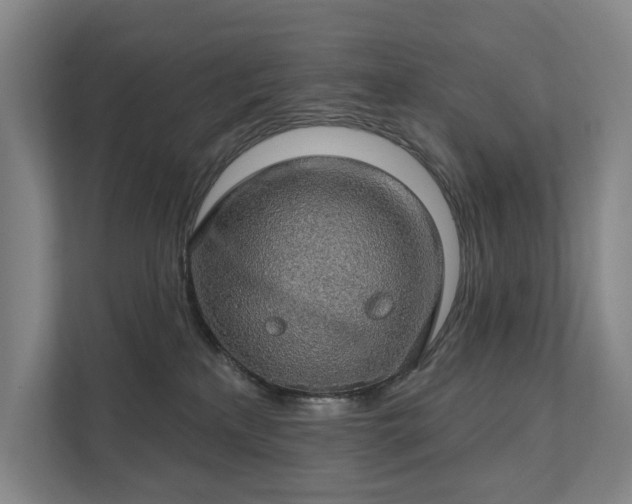 X0000111580233200907231242