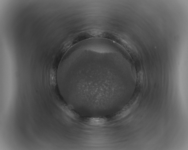 X0000111580234200907231241