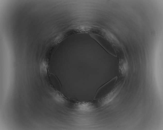 X0000111580235200907231241