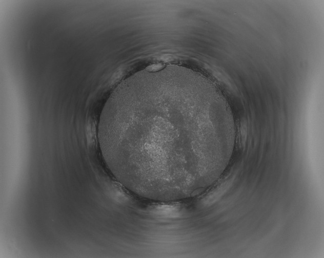 X0000111580236200907231241