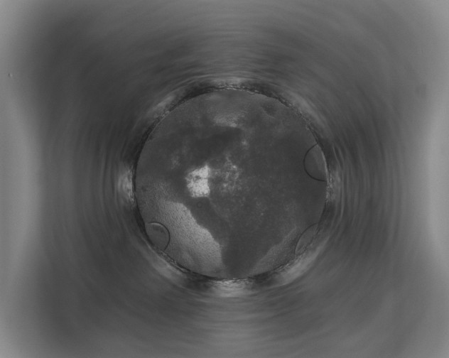 X0000111580238200907231241