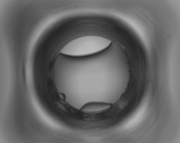 X0000111580239200907231241