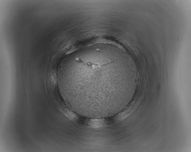 X0000111580240200907231241