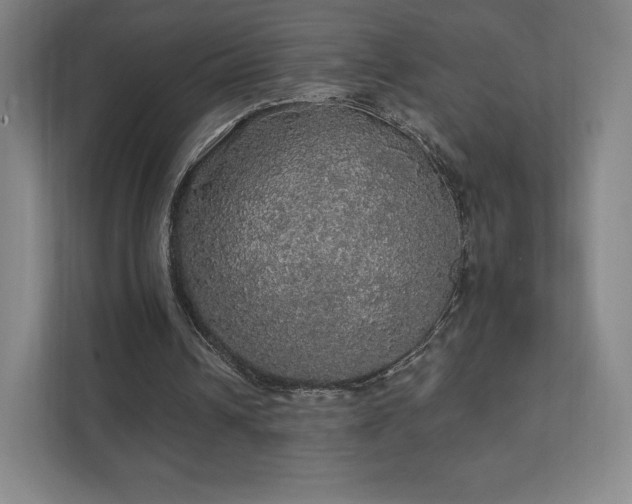 X0000111580242200907231241