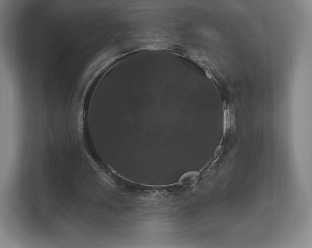 X0000111580243200907231241