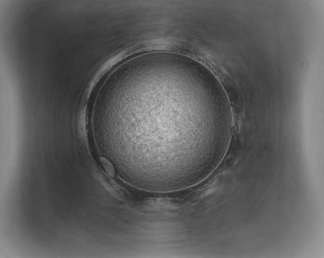 X0000111580244200907231241