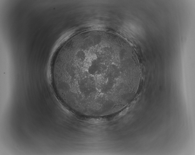 X0000111580245200907231241