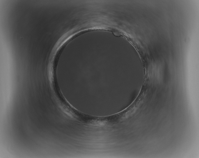 X0000111580247200907231241