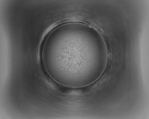 X0000111580248200907231241