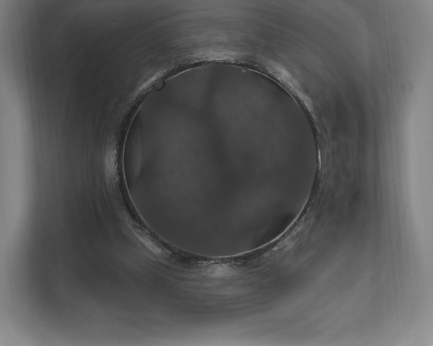 X0000111580249200907231241