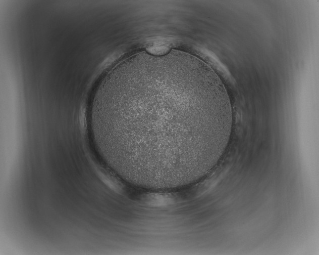 X0000111580250200907231241