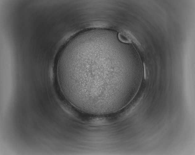 X0000111580252200907231241