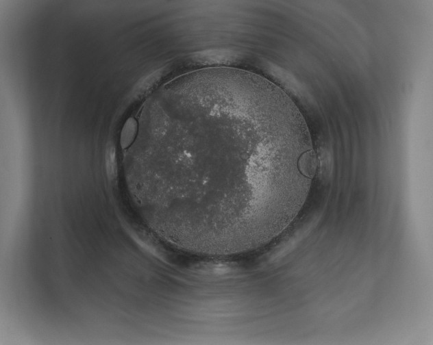 X0000111580254200907231241