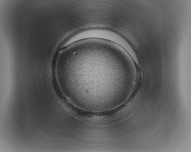 X0000111580256200907231241