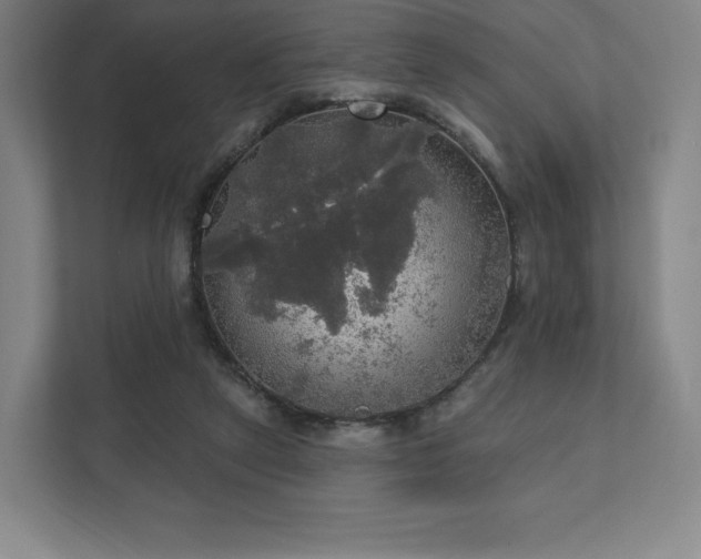 X0000111580257200907231241