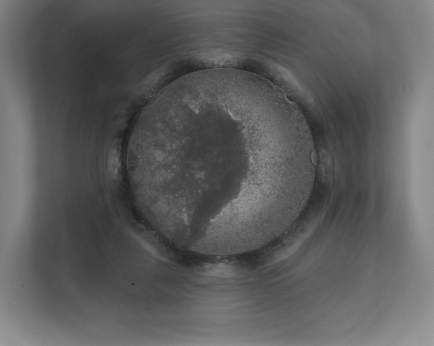 X0000111580259200907231241