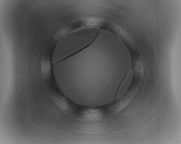 X0000111580260200907231241