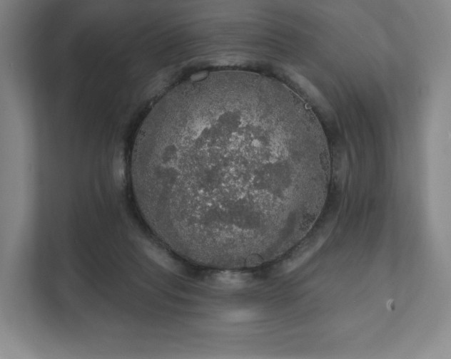 X0000111580261200907231241