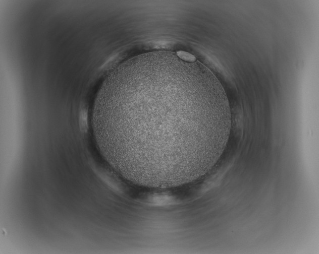 X0000111580262200907231241