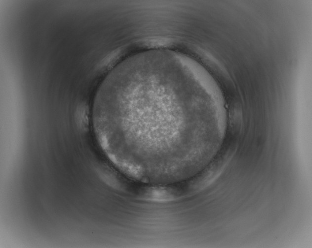 X0000111580264200907231241
