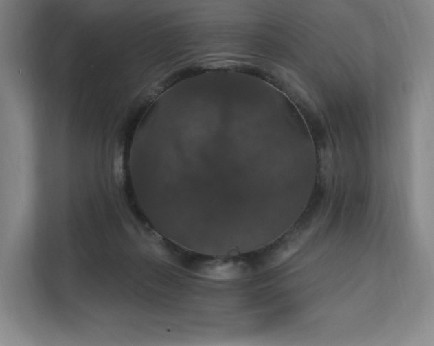 X0000111580267200907231241