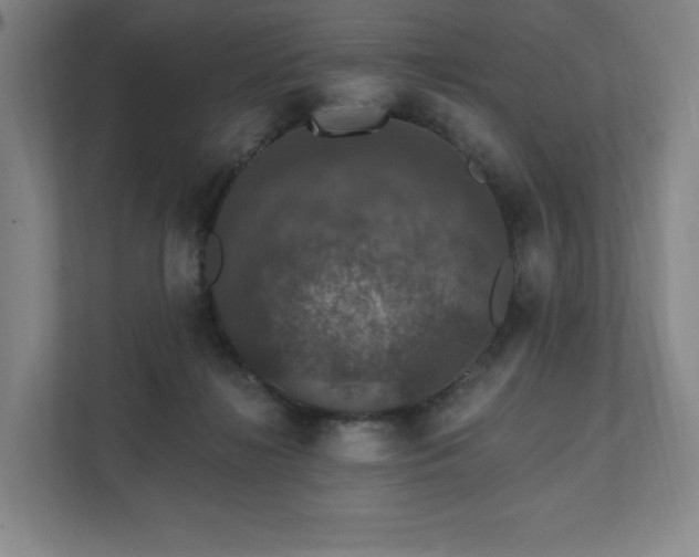 X0000111580268200907231241