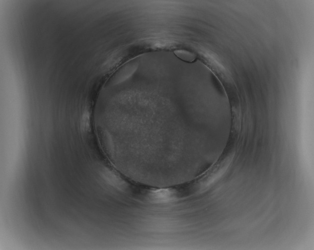 X0000111580269200907231241