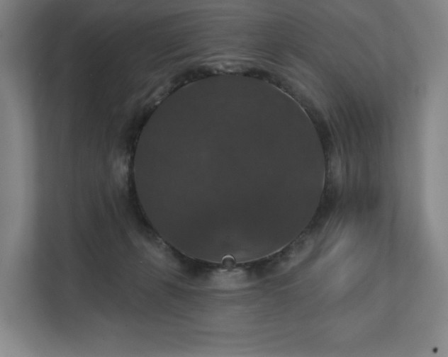 X0000111580271200907231241