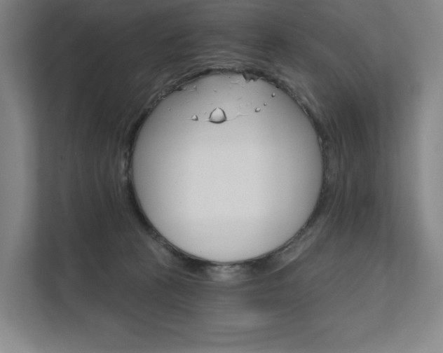 X0000111580273200907231241