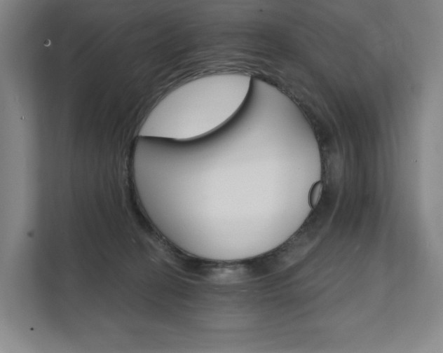 X0000111580274200907231241